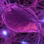 Neuraltherapie